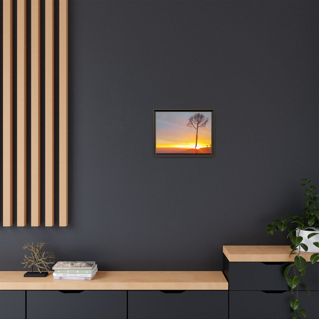 'A Root Light'  Framed Canvas Art