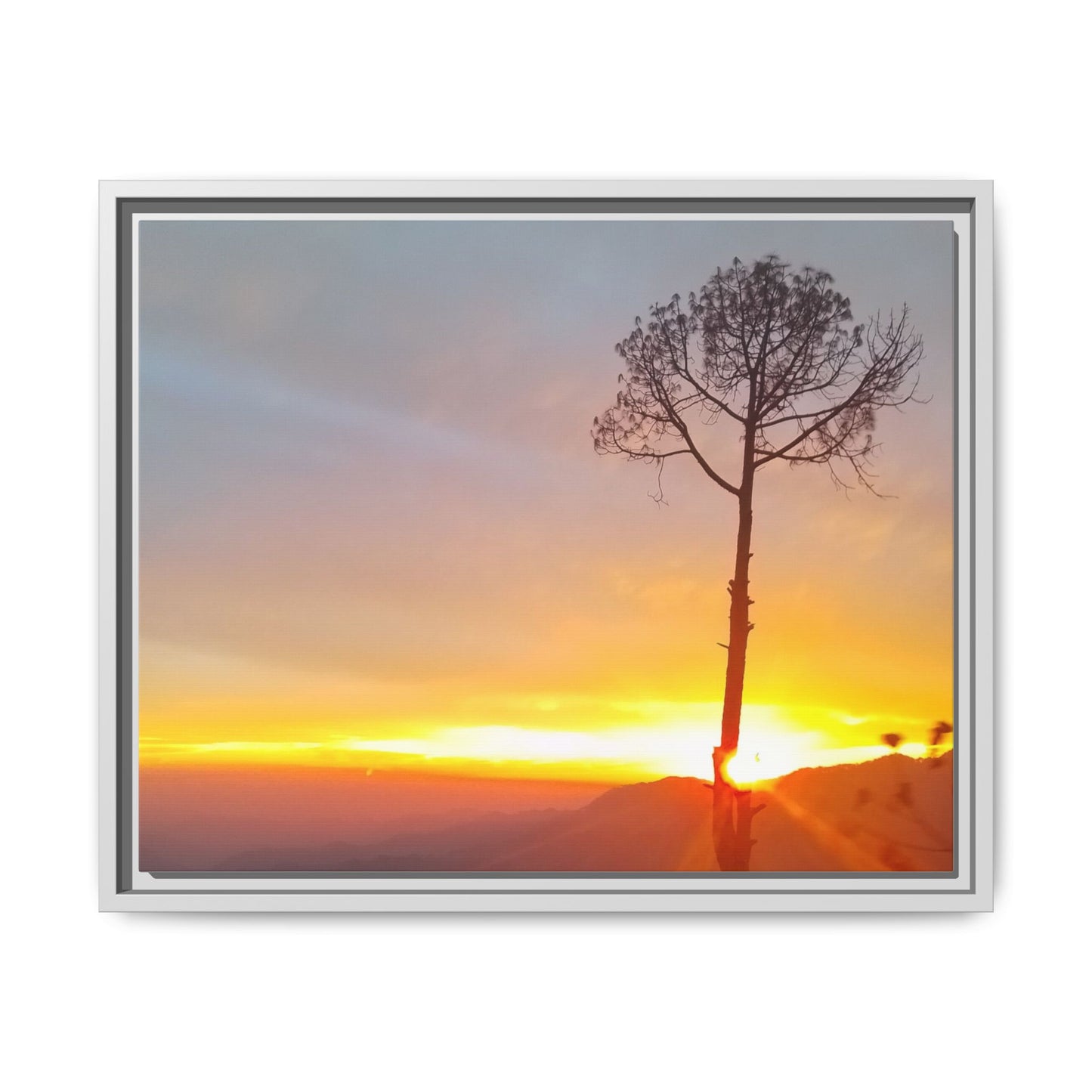 'A Root Light'  Framed Canvas Art