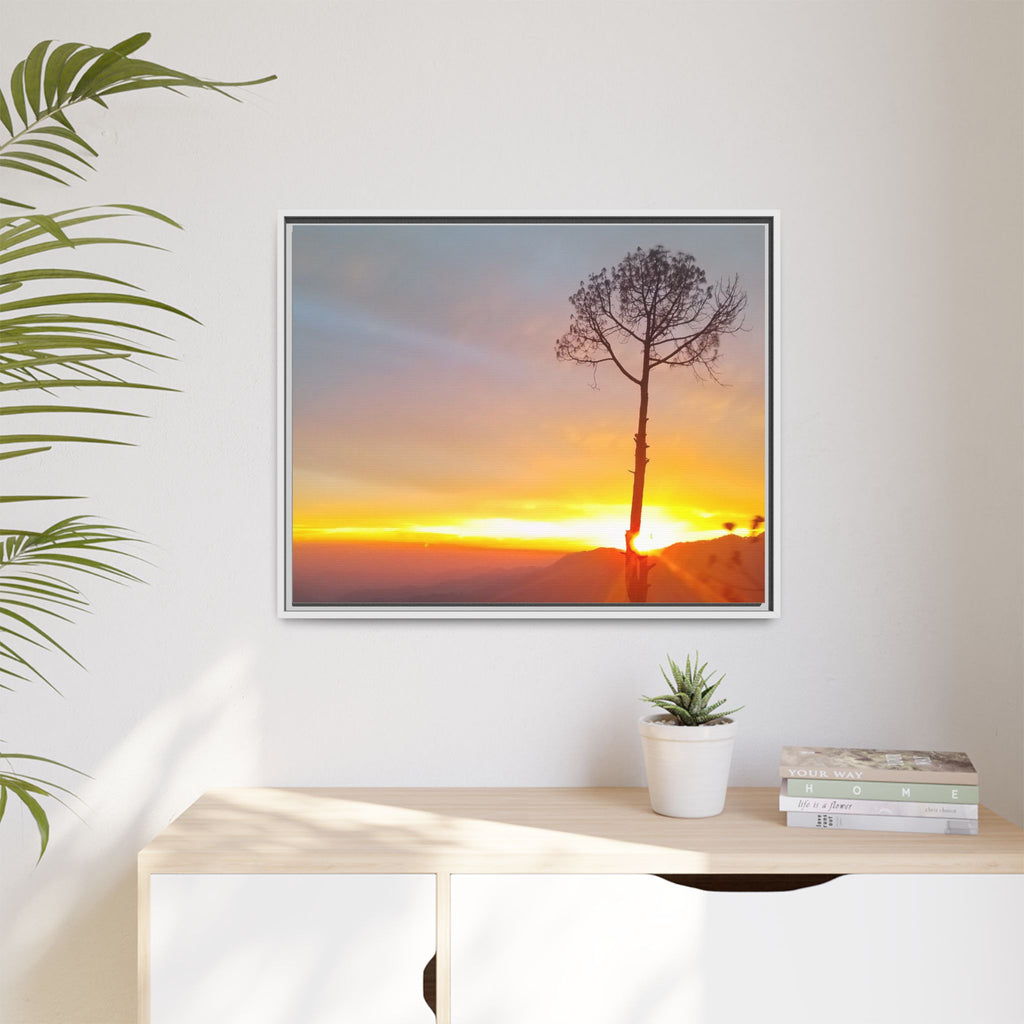 'A Root Light'  Framed Canvas Art