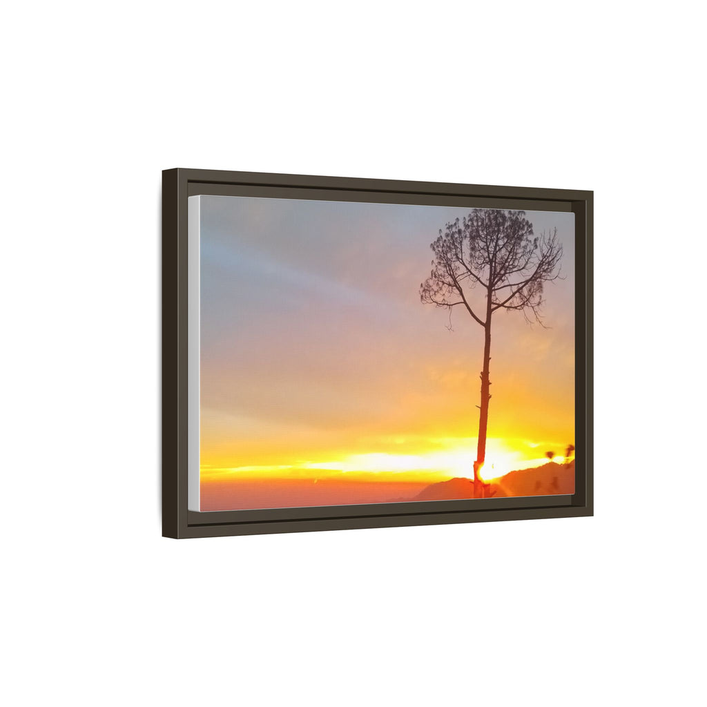 'A Root Light'  Framed Canvas Art