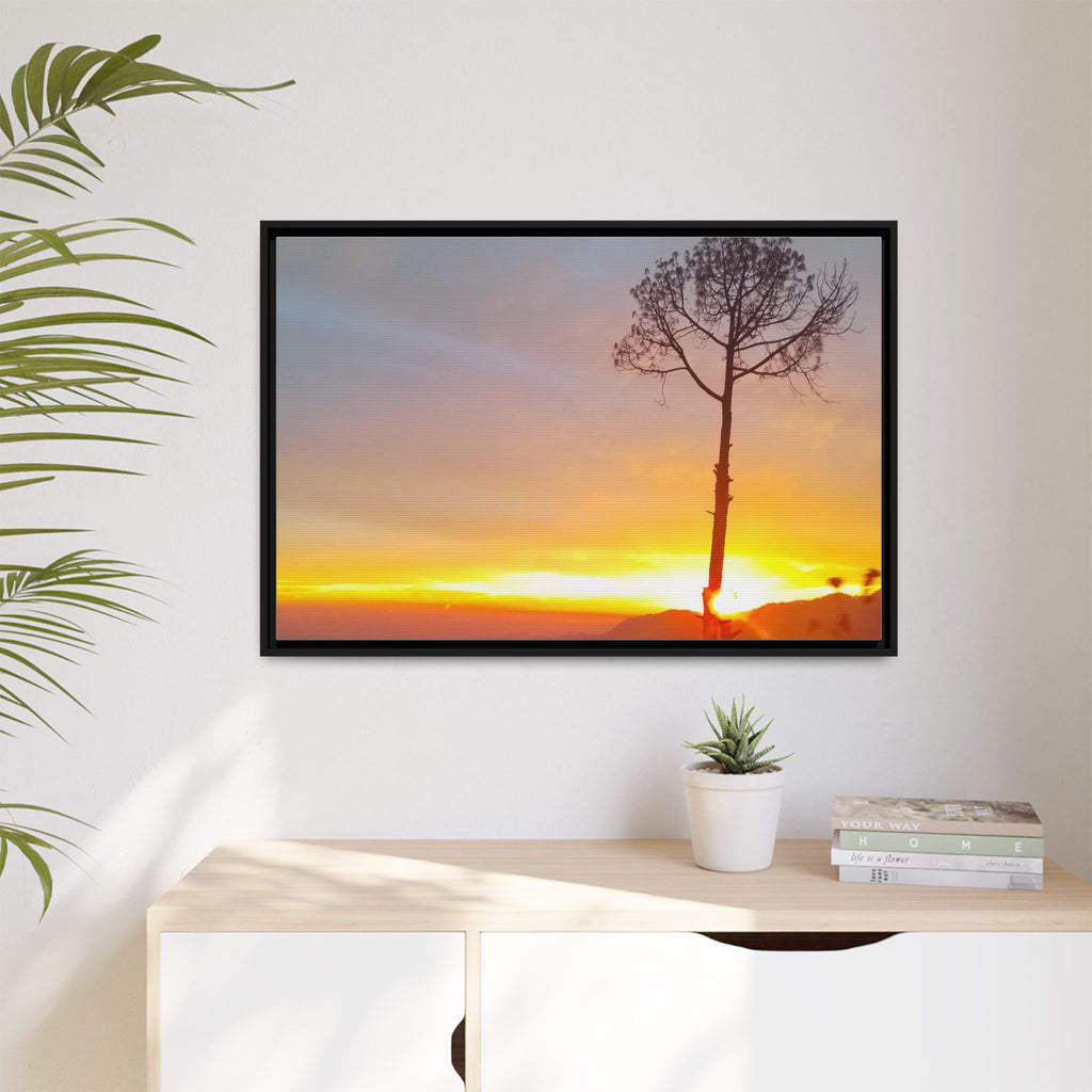 'A Root Light'  Framed Canvas Art