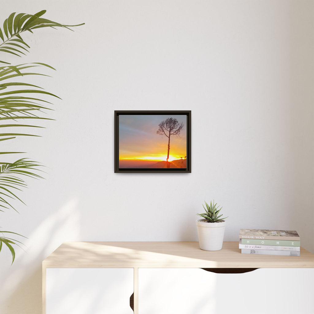 'A Root Light'  Framed Canvas Art