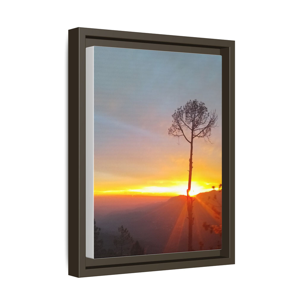 'A Root Light'  Framed Canvas Art