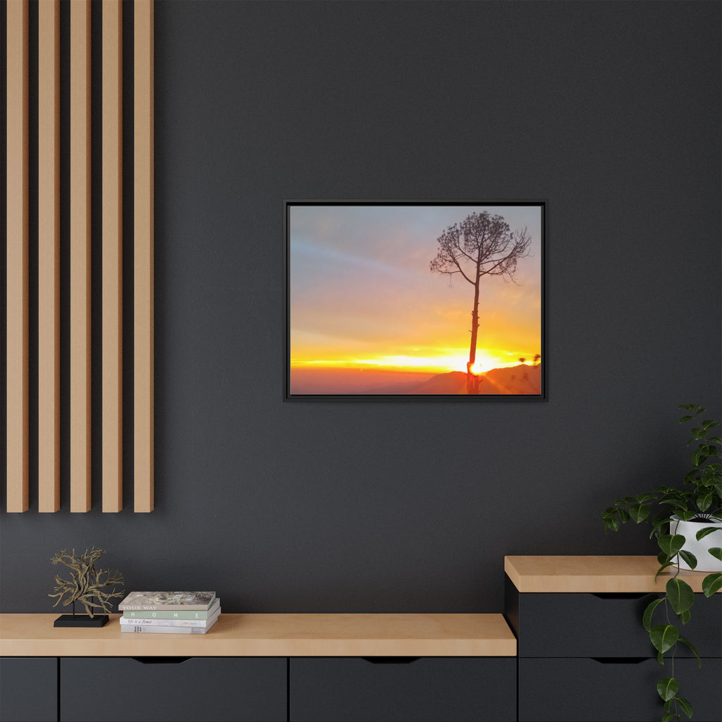 'A Root Light'  Framed Canvas Art