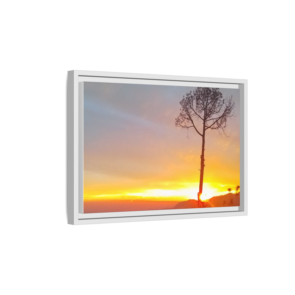 'A Root Light'  Framed Canvas Art