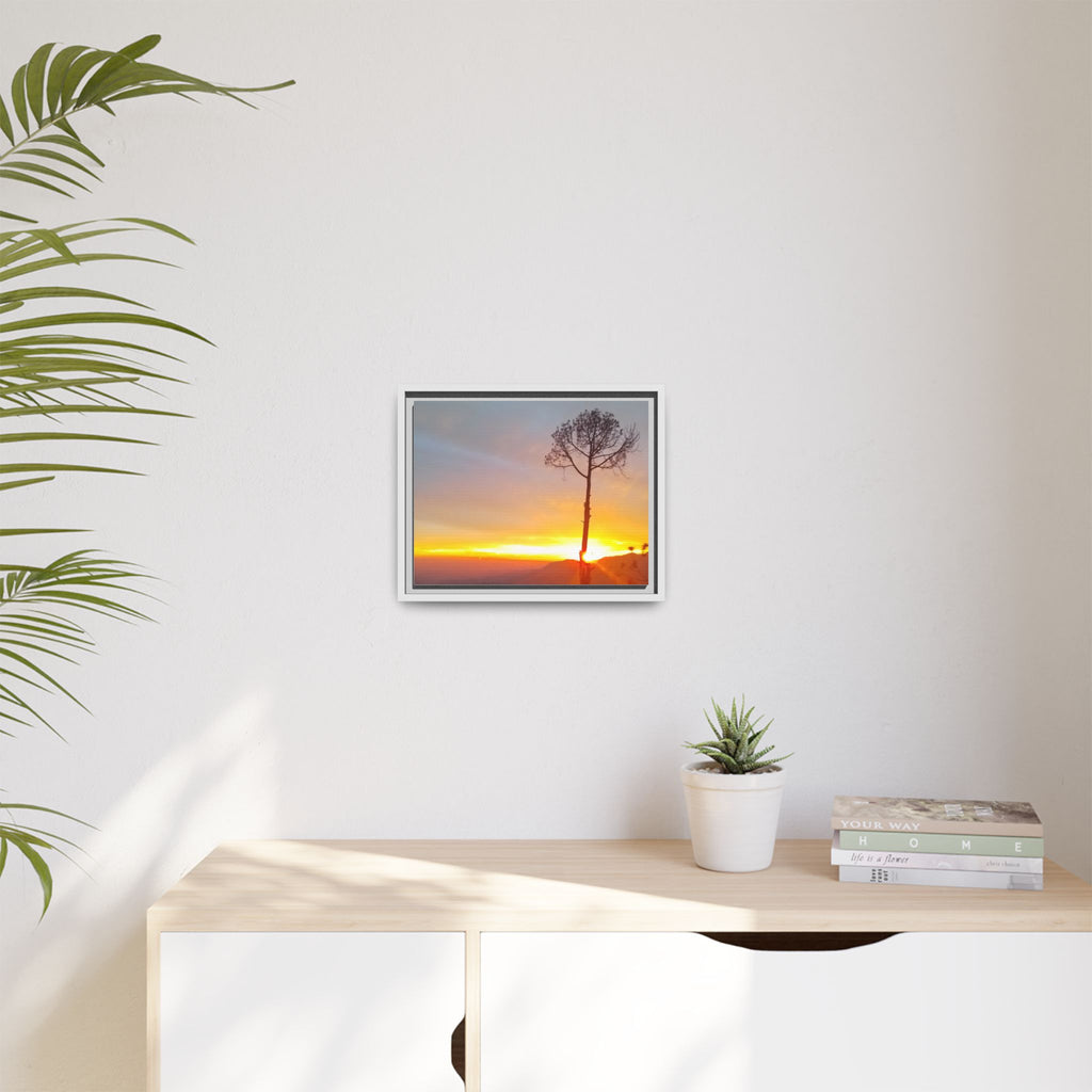 'A Root Light'  Framed Canvas Art