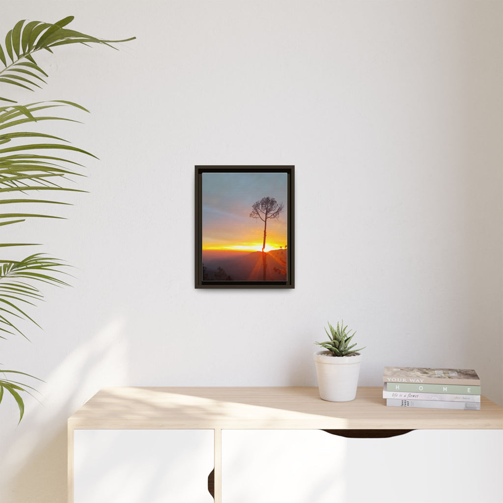 'A Root Light'  Framed Canvas Art