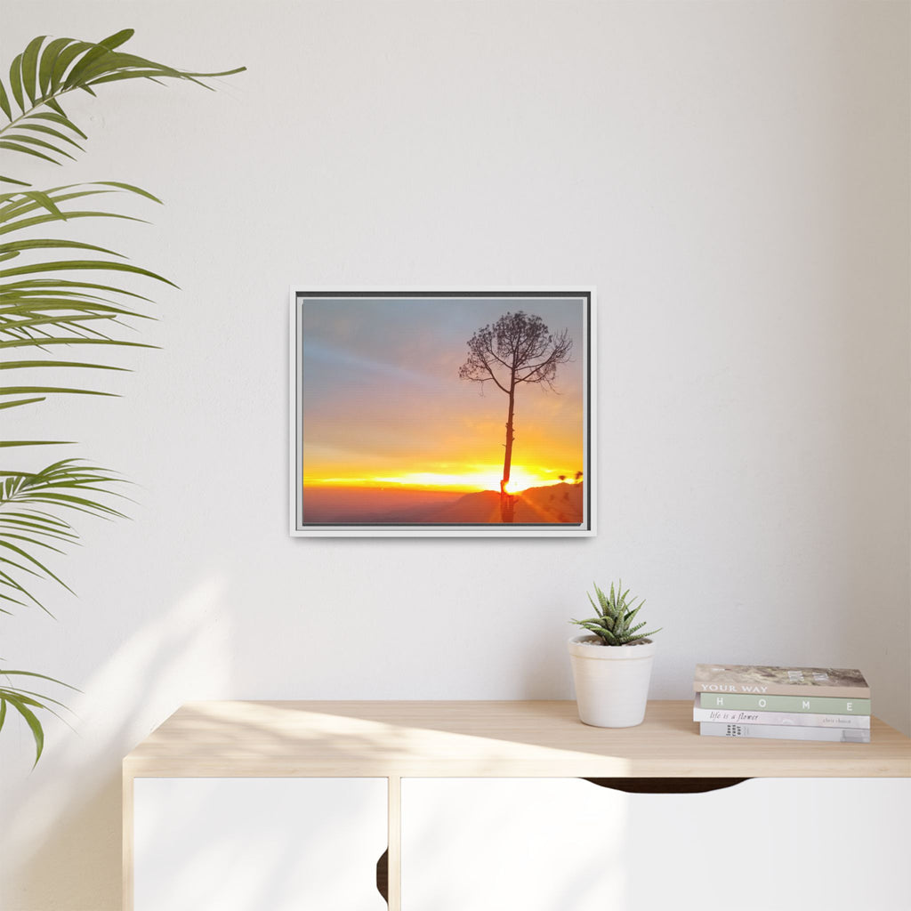 'A Root Light'  Framed Canvas Art