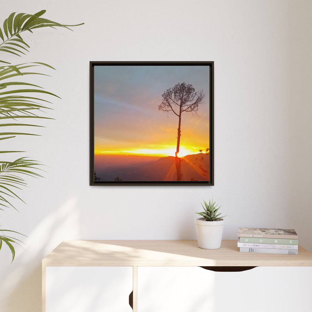'A Root Light'  Framed Canvas Art