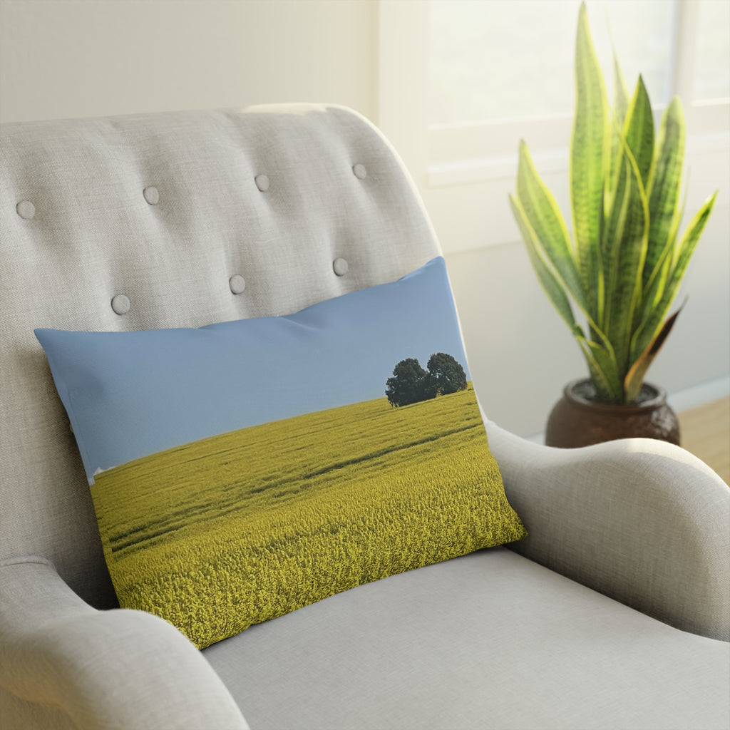 Sage Godrei x Neurodivergent Synergy Pillow 1