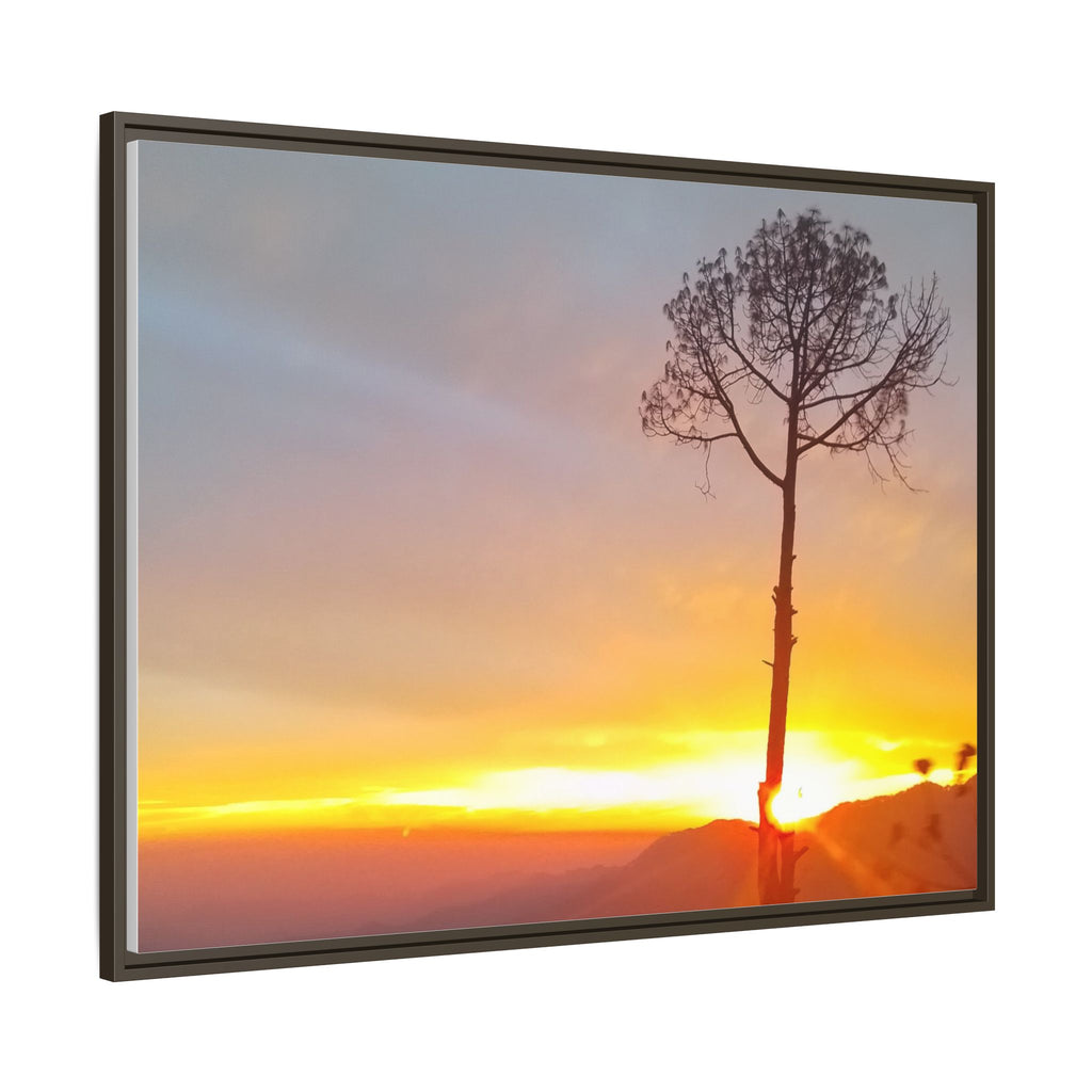 'A Root Light'  Framed Canvas Art