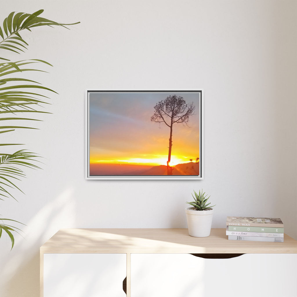 'A Root Light'  Framed Canvas Art