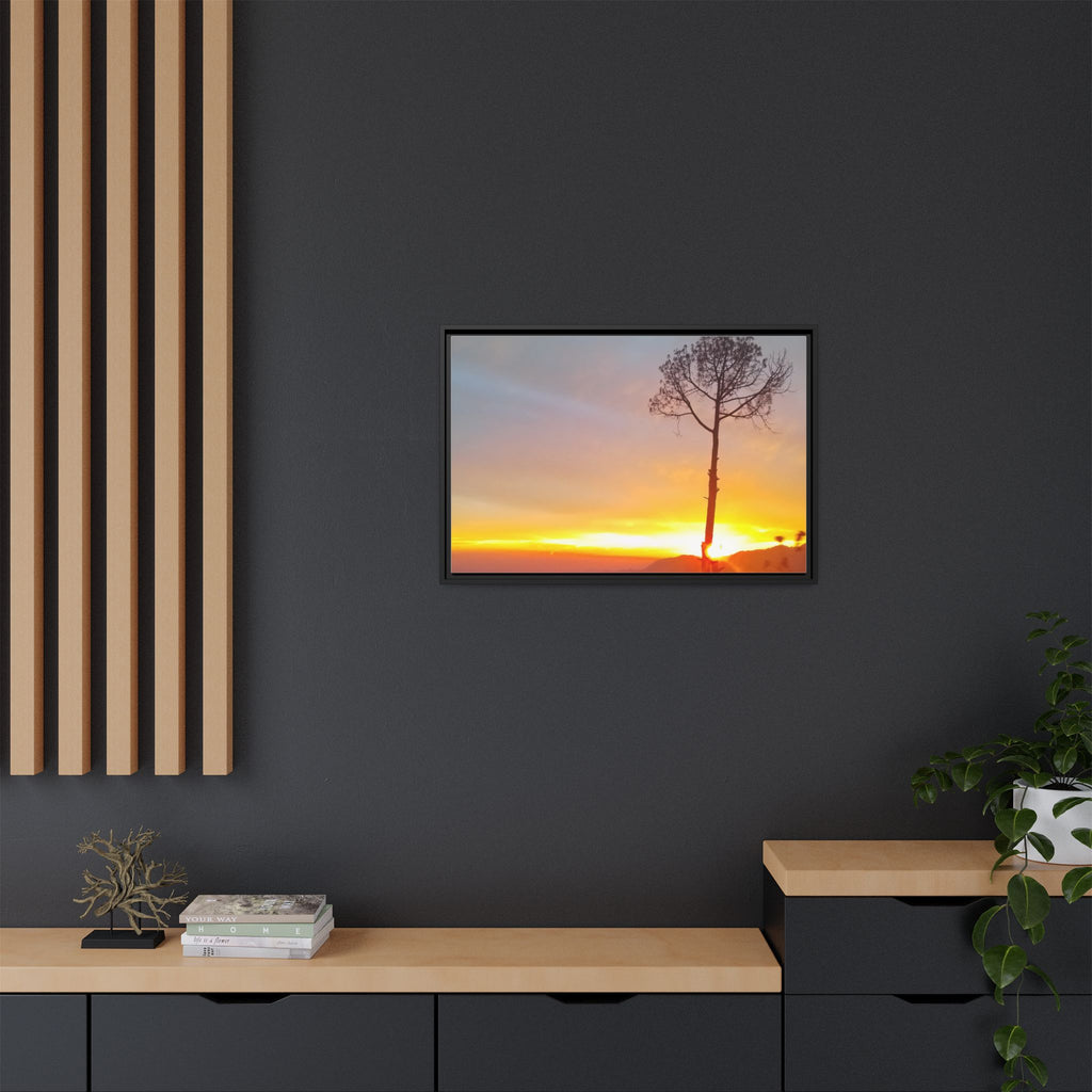 'A Root Light'  Framed Canvas Art