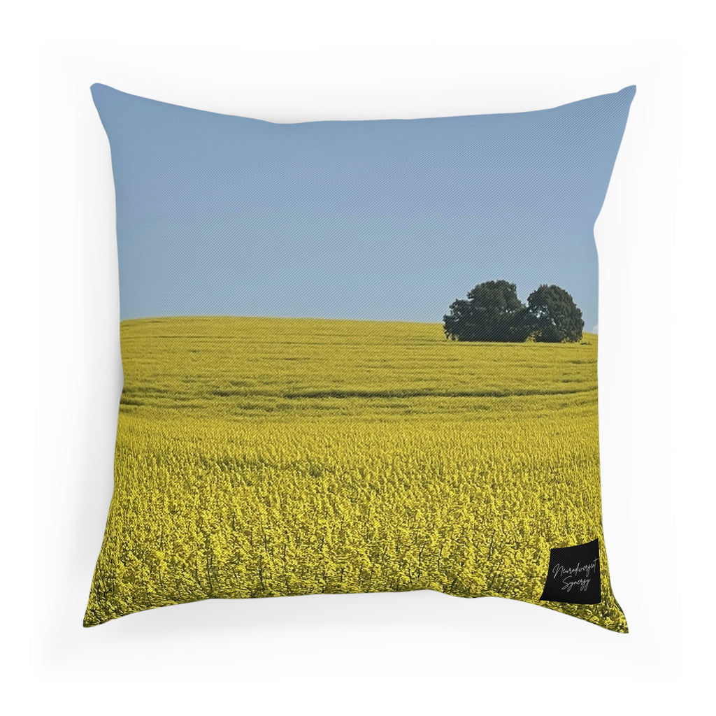 Sage Godrei x Neurodivergent Synergy Pillow 1