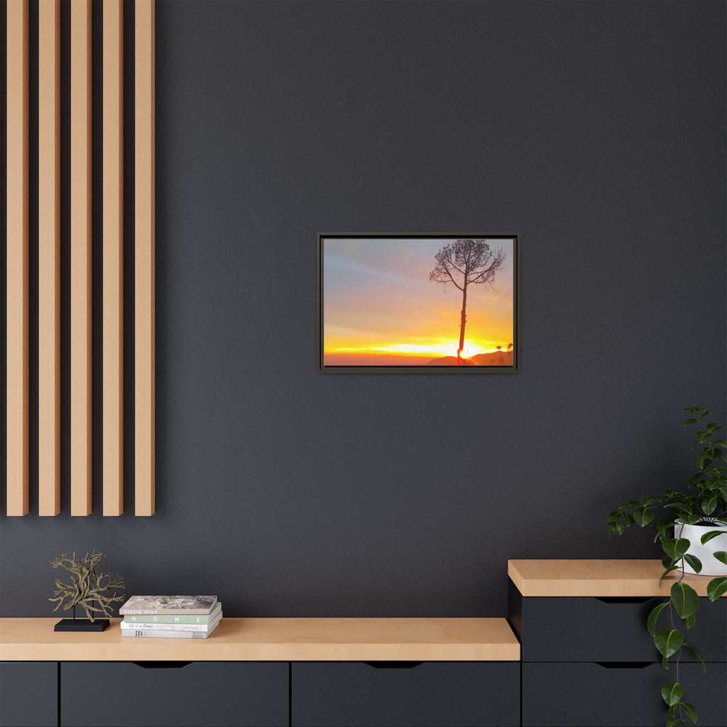 'A Root Light'  Framed Canvas Art