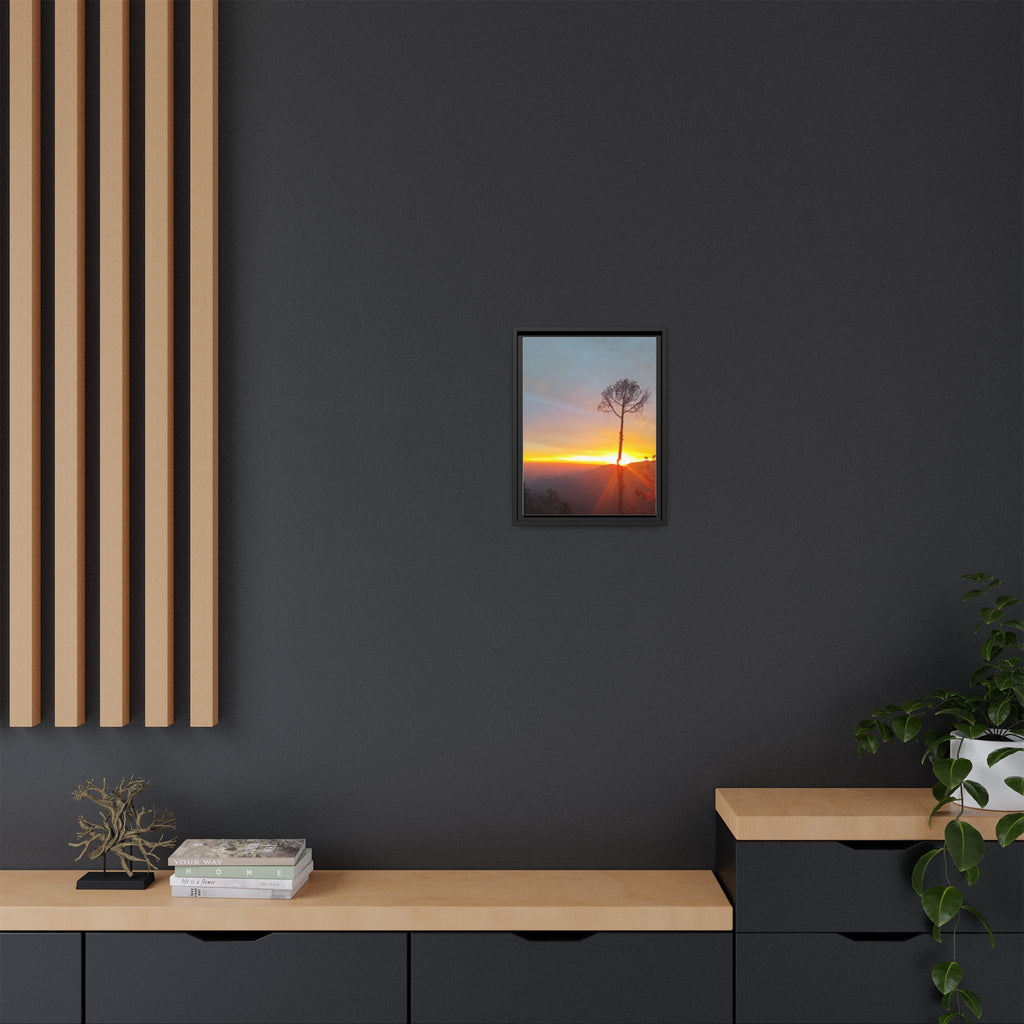 'A Root Light'  Framed Canvas Art