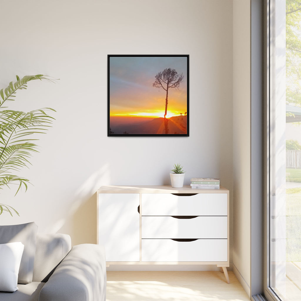 'A Root Light'  Framed Canvas Art