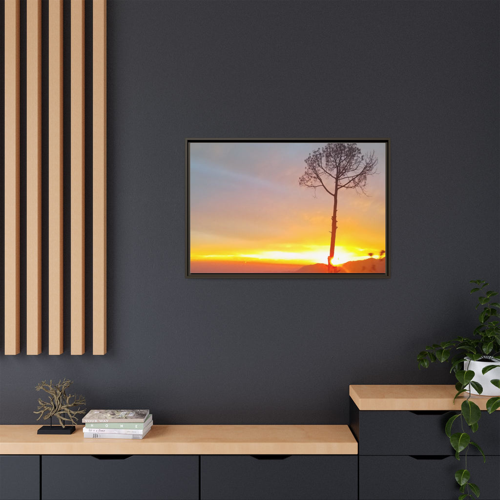 'A Root Light'  Framed Canvas Art