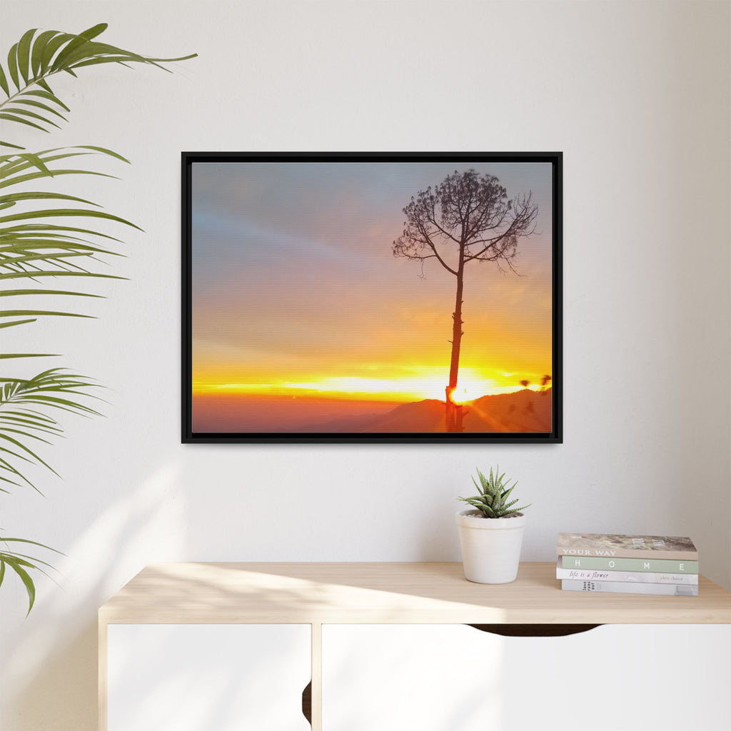 'A Root Light'  Framed Canvas Art