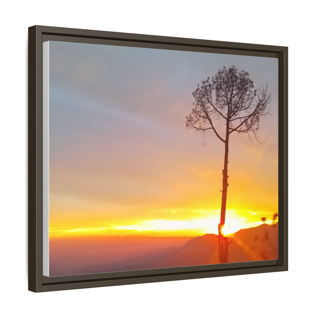 'A Root Light'  Framed Canvas Art