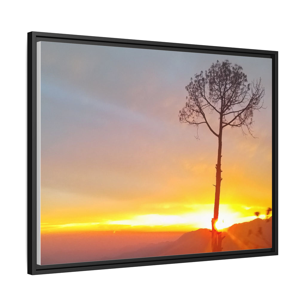'A Root Light'  Framed Canvas Art