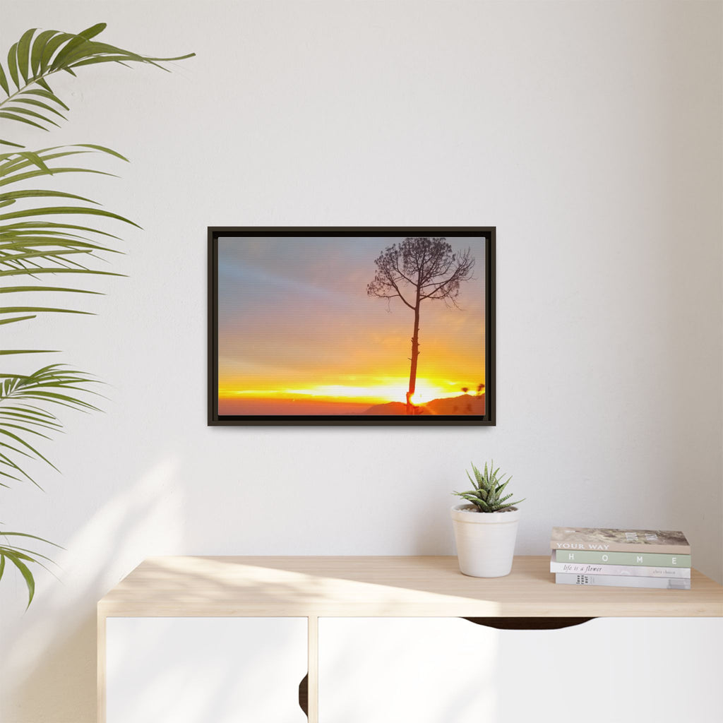 'A Root Light'  Framed Canvas Art