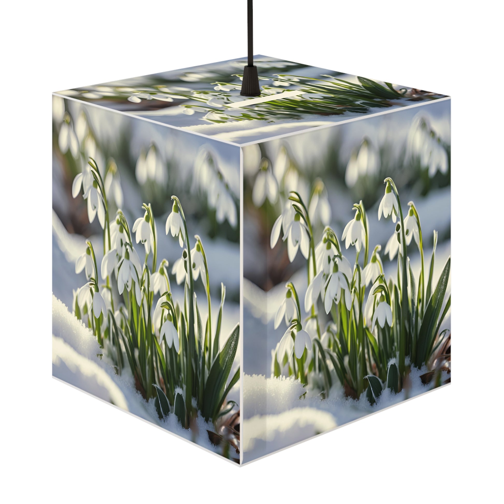 Snowdrops Light Cube Lamp Box
