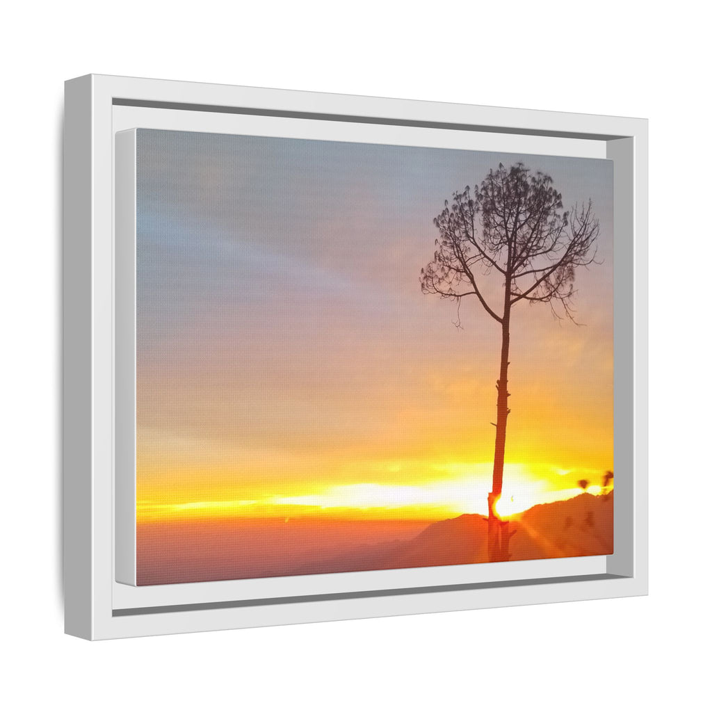 'A Root Light'  Framed Canvas Art