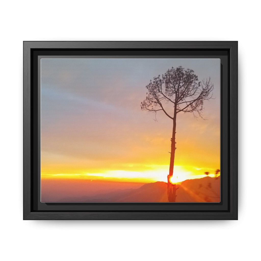'A Root Light'  Framed Canvas Art