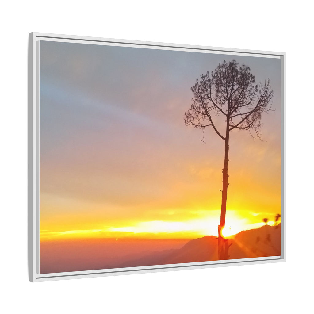 'A Root Light'  Framed Canvas Art