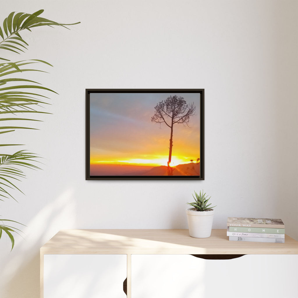 'A Root Light'  Framed Canvas Art