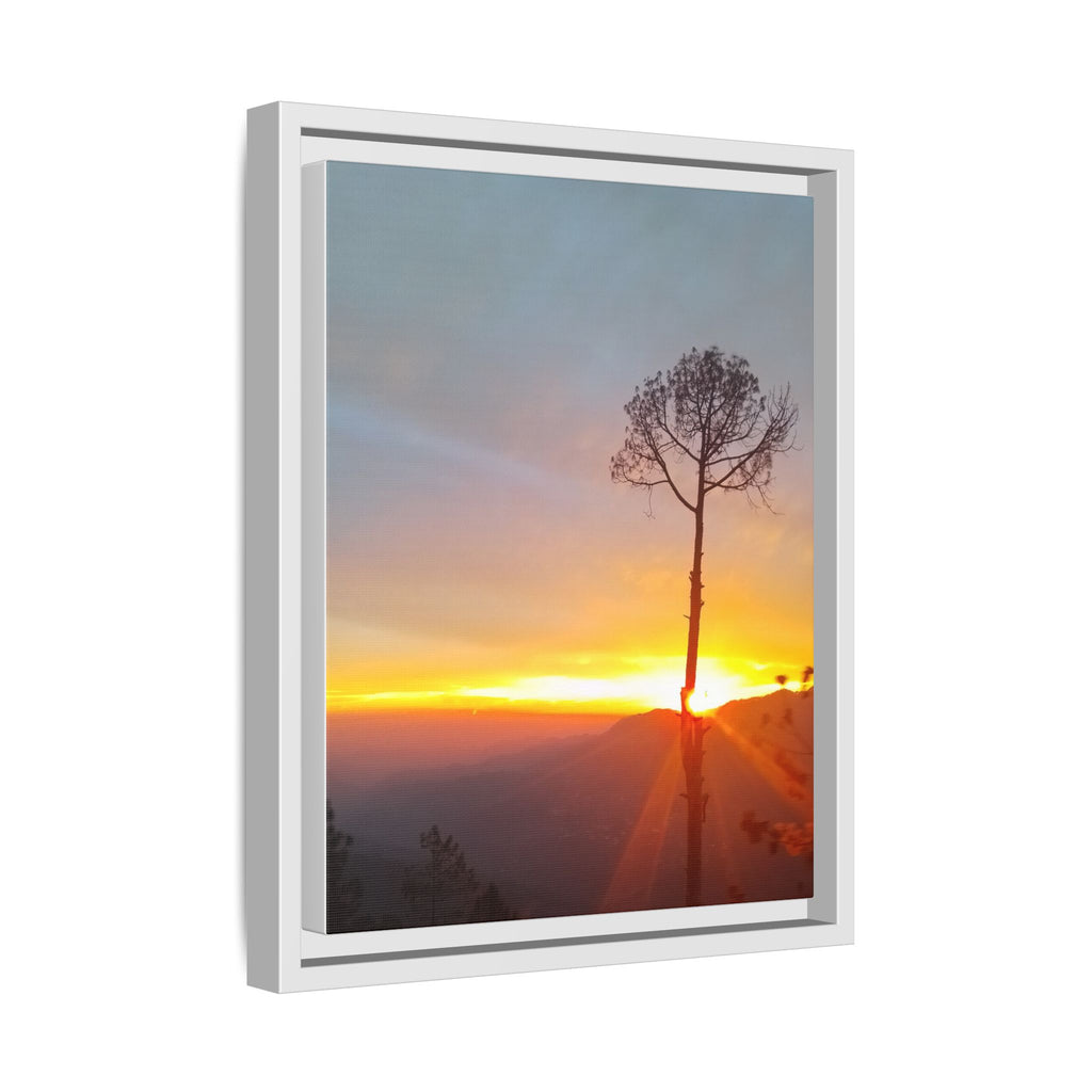 'A Root Light'  Framed Canvas Art