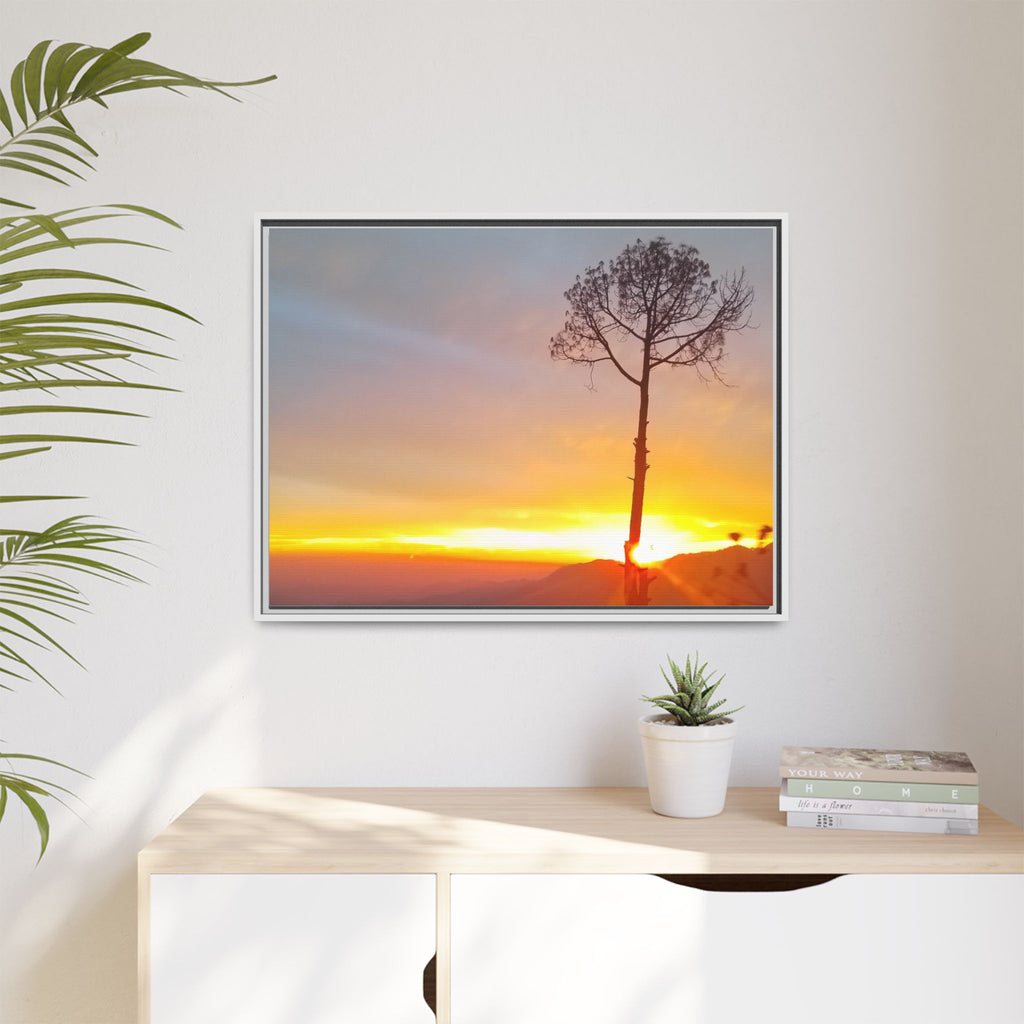 'A Root Light'  Framed Canvas Art