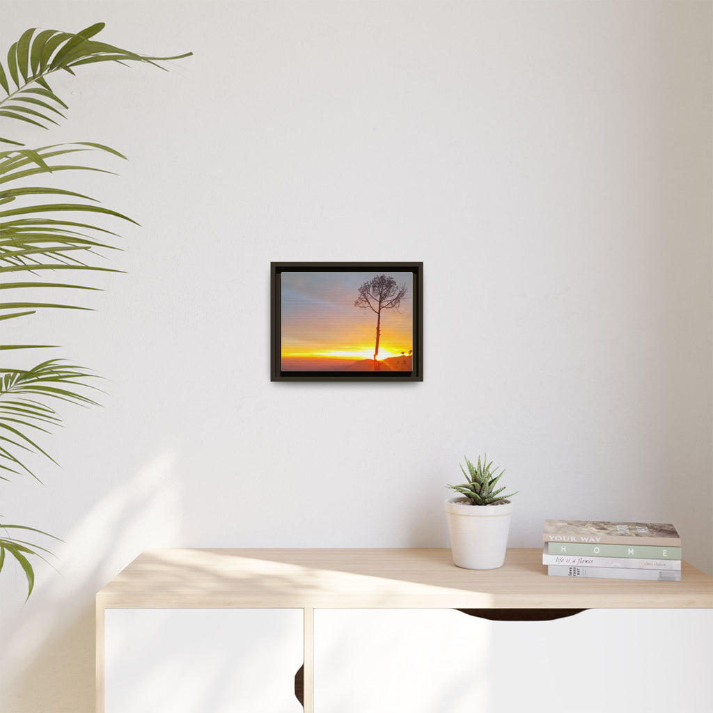 'A Root Light'  Framed Canvas Art