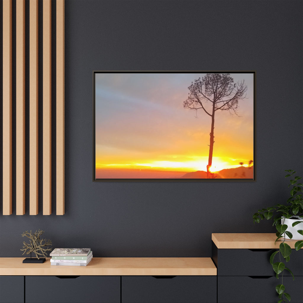 'A Root Light'  Framed Canvas Art