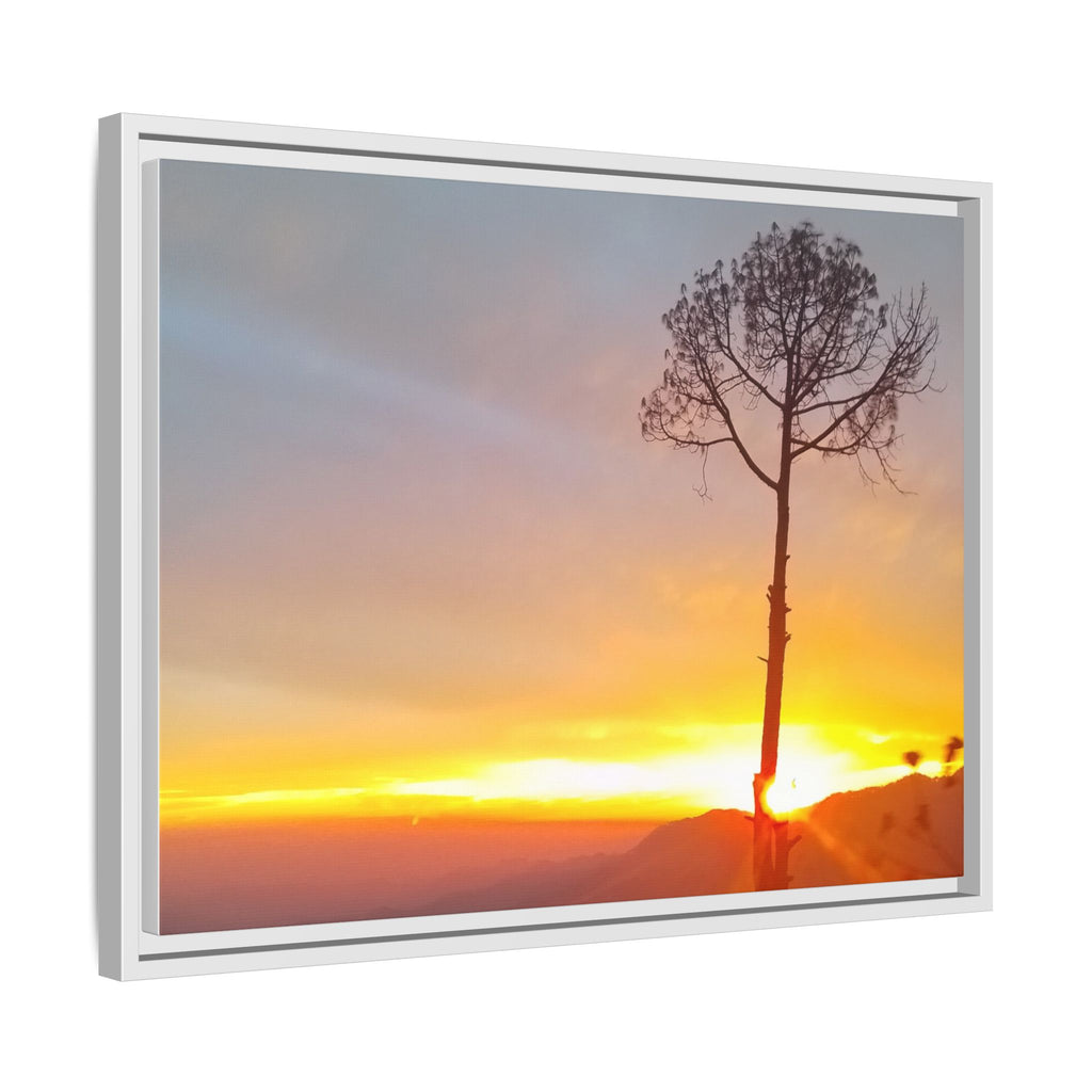 'A Root Light'  Framed Canvas Art
