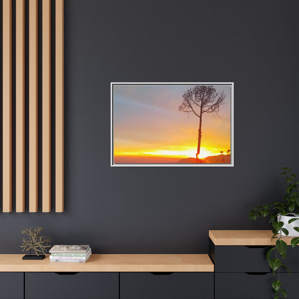 'A Root Light'  Framed Canvas Art