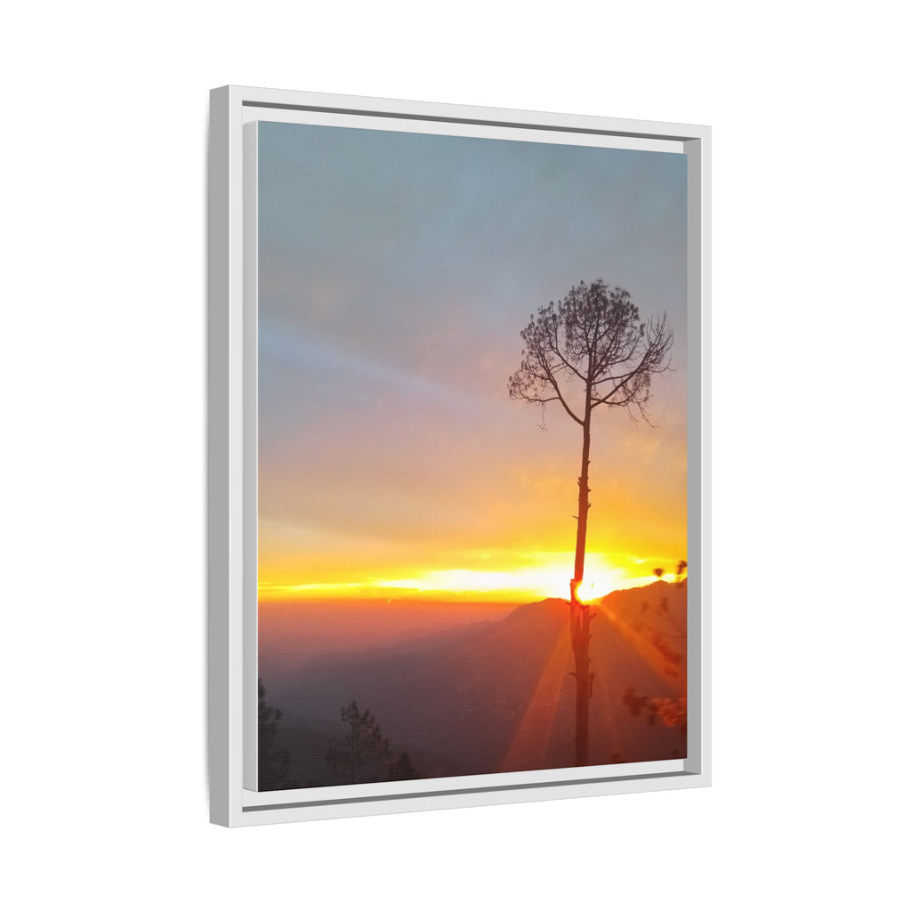 'A Root Light'  Framed Canvas Art