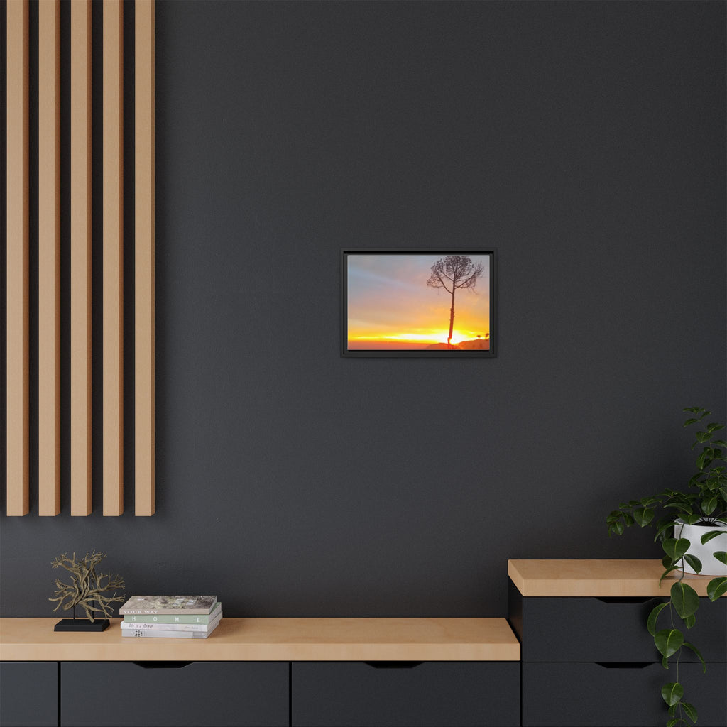 'A Root Light'  Framed Canvas Art