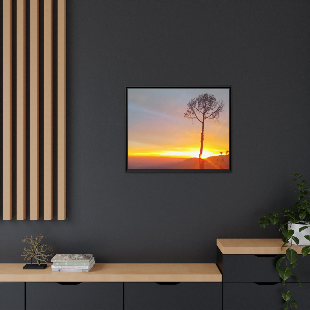 'A Root Light'  Framed Canvas Art