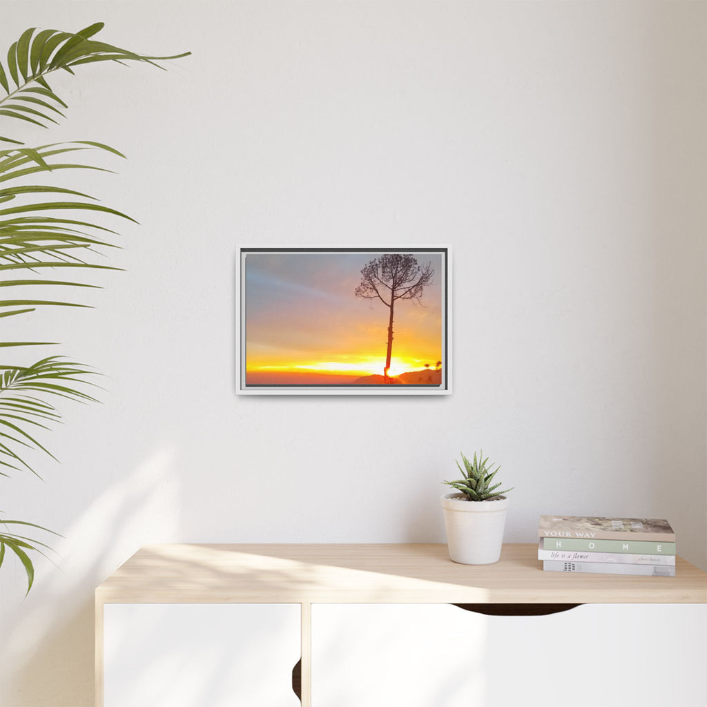 'A Root Light'  Framed Canvas Art