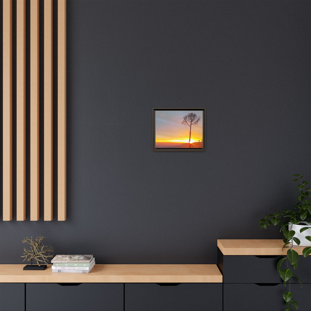 'A Root Light'  Framed Canvas Art
