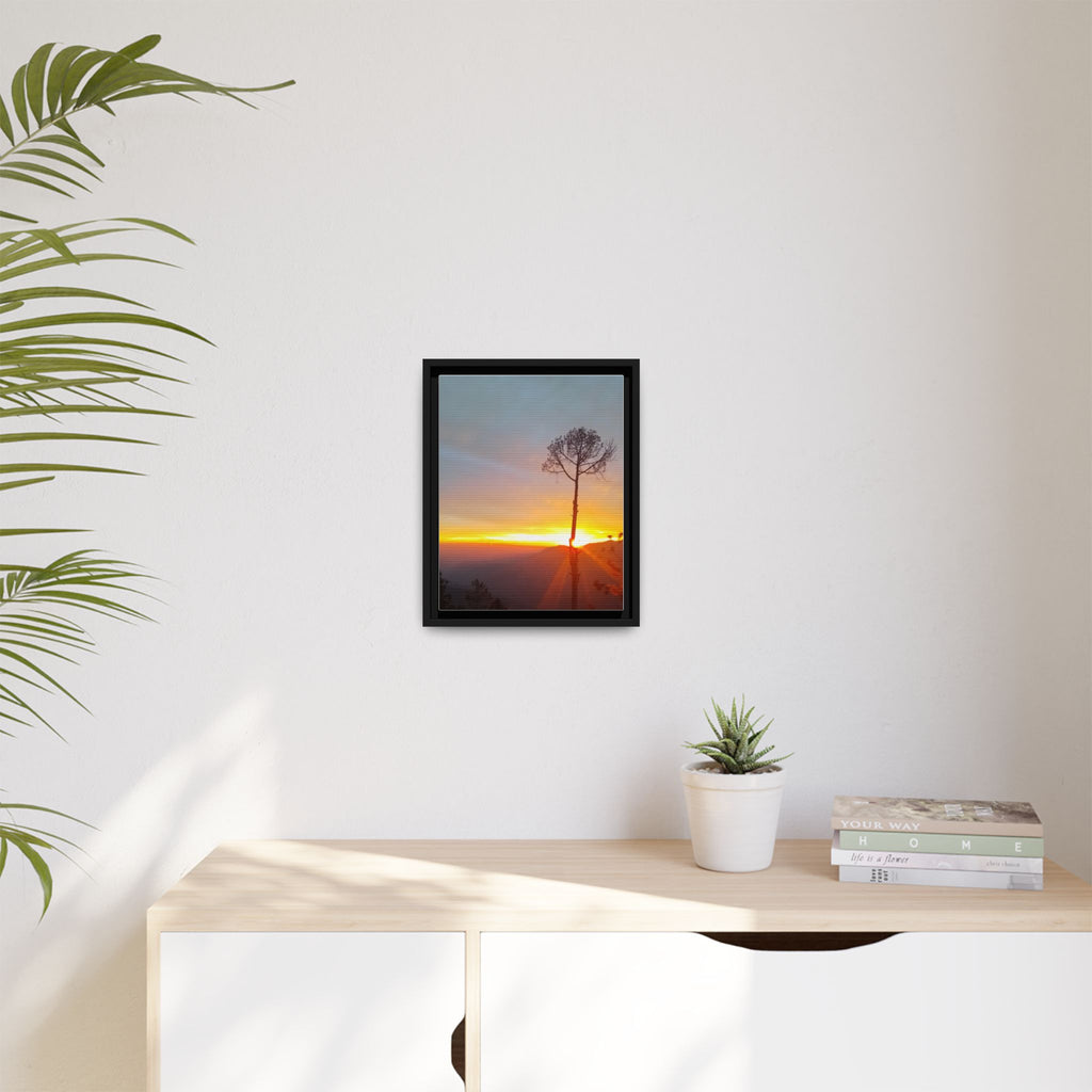 'A Root Light'  Framed Canvas Art