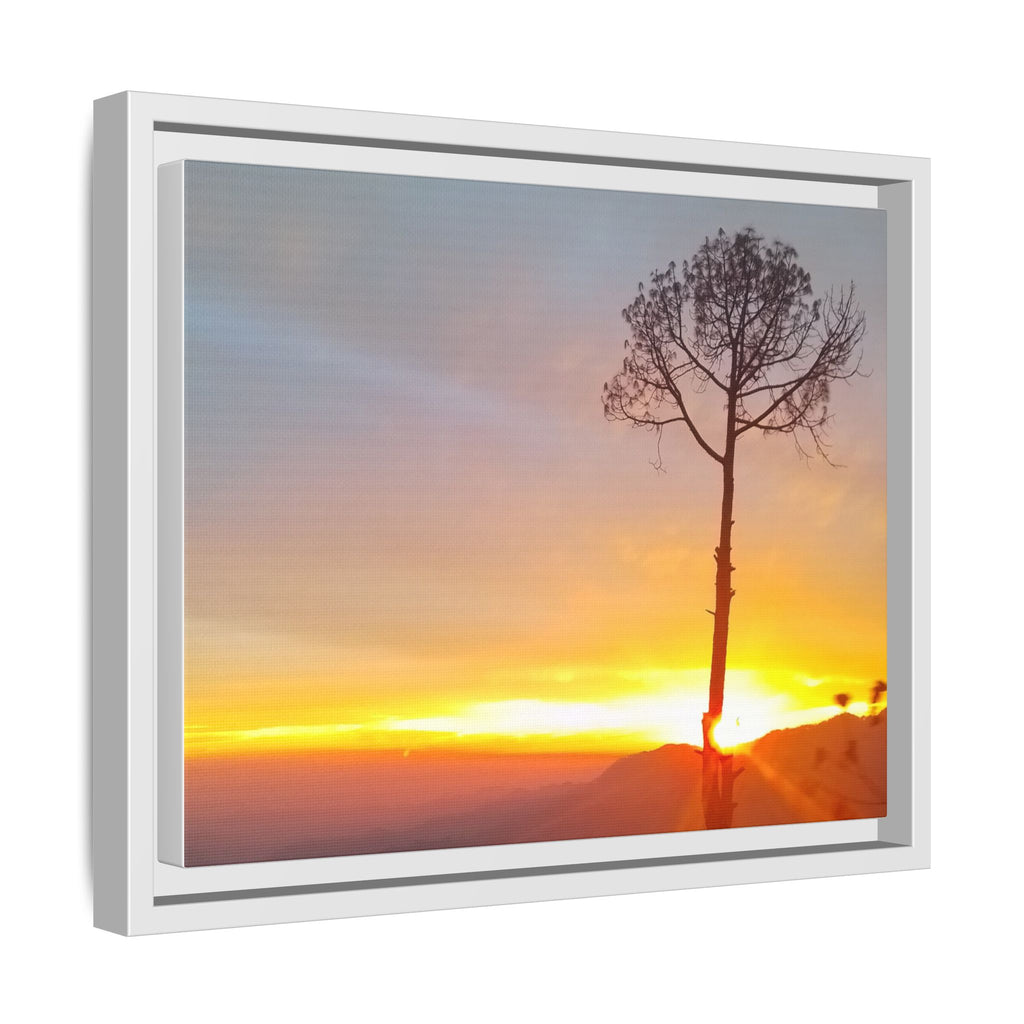 'A Root Light'  Framed Canvas Art