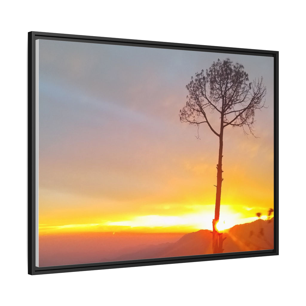 'A Root Light'  Framed Canvas Art