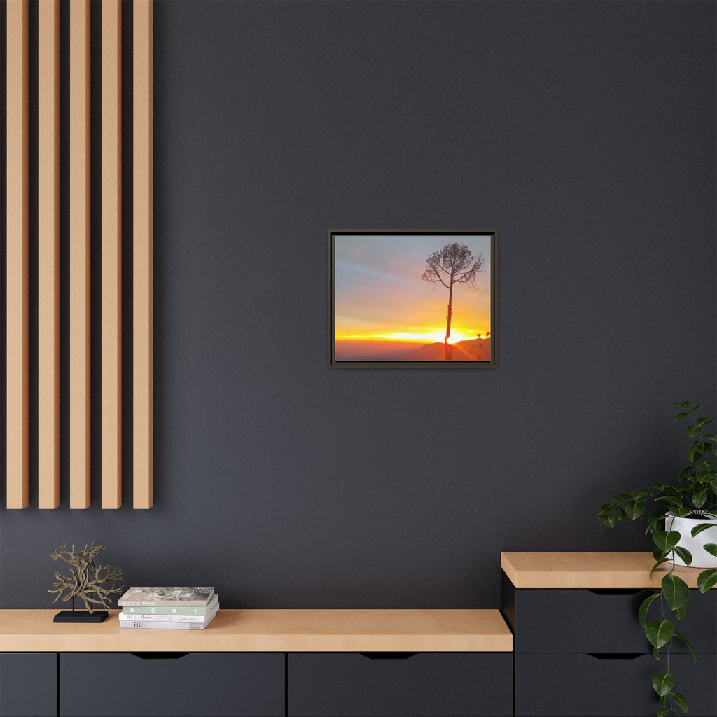'A Root Light'  Framed Canvas Art