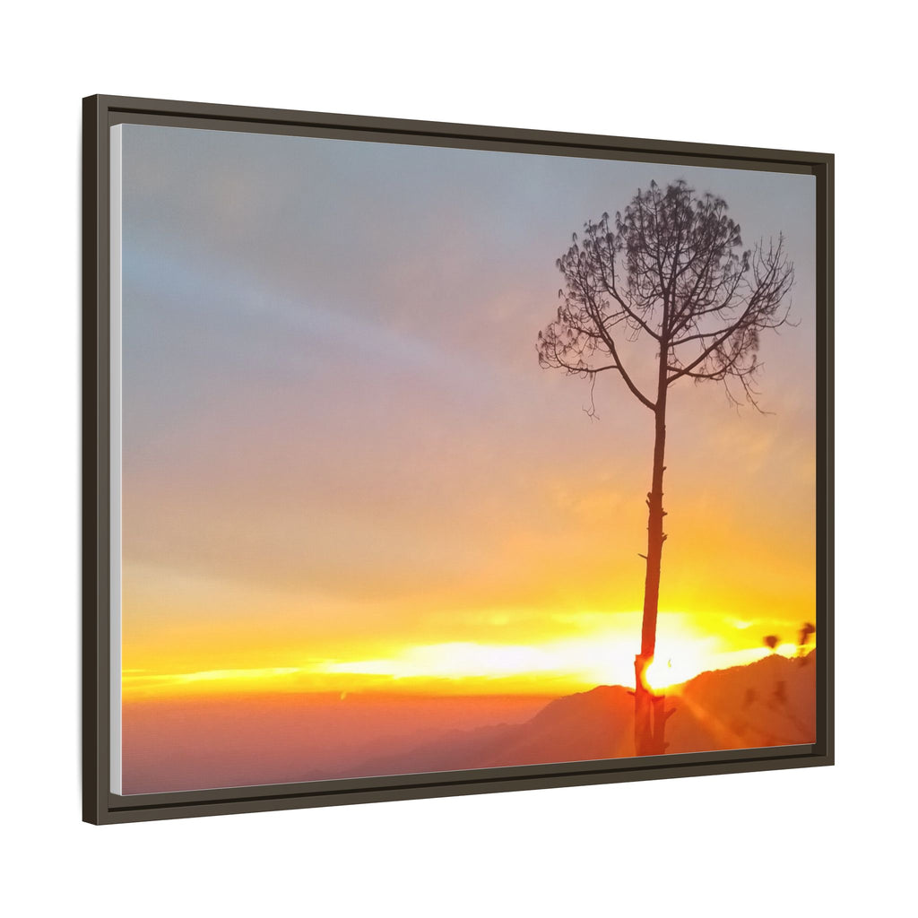'A Root Light'  Framed Canvas Art