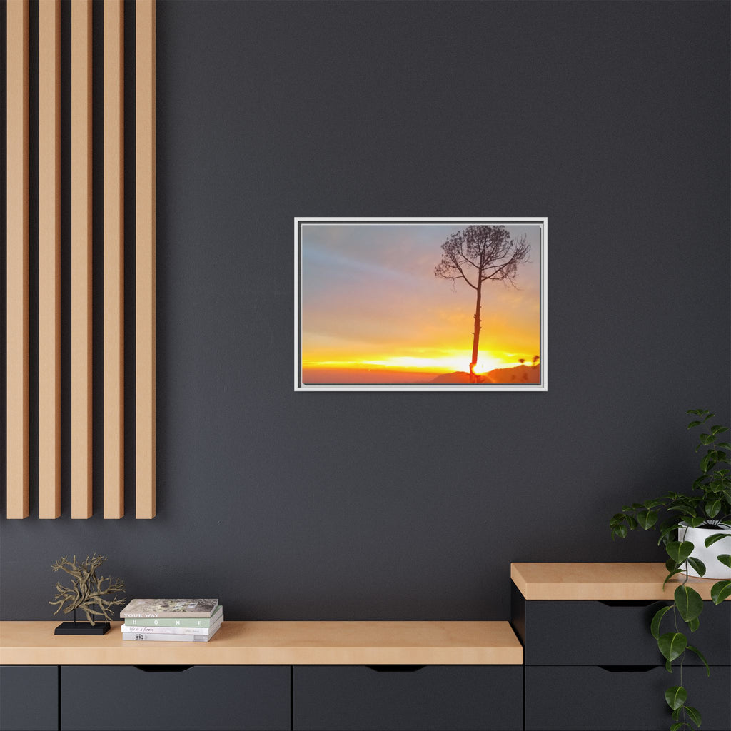 'A Root Light'  Framed Canvas Art