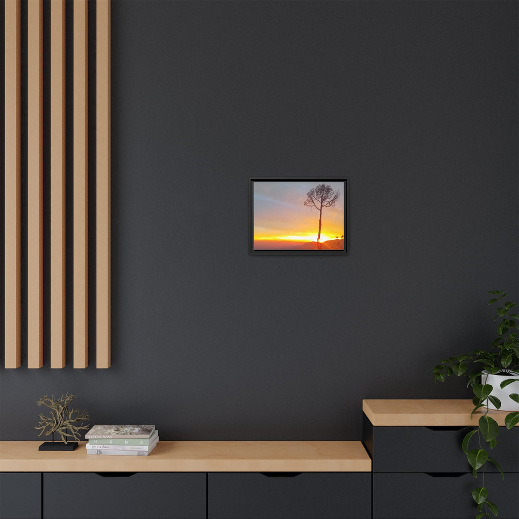 'A Root Light'  Framed Canvas Art