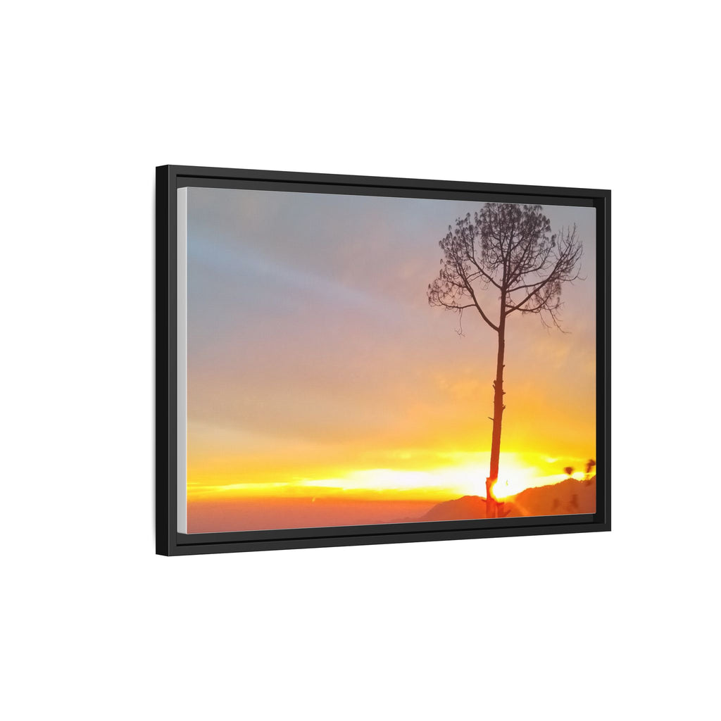 'A Root Light'  Framed Canvas Art